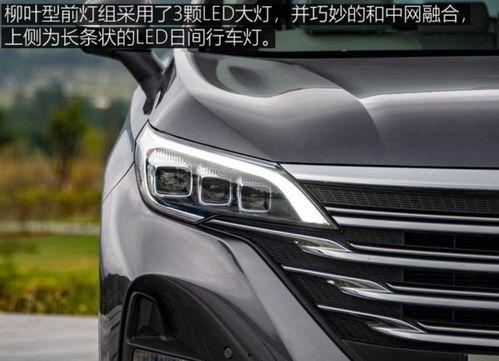2019国产精品